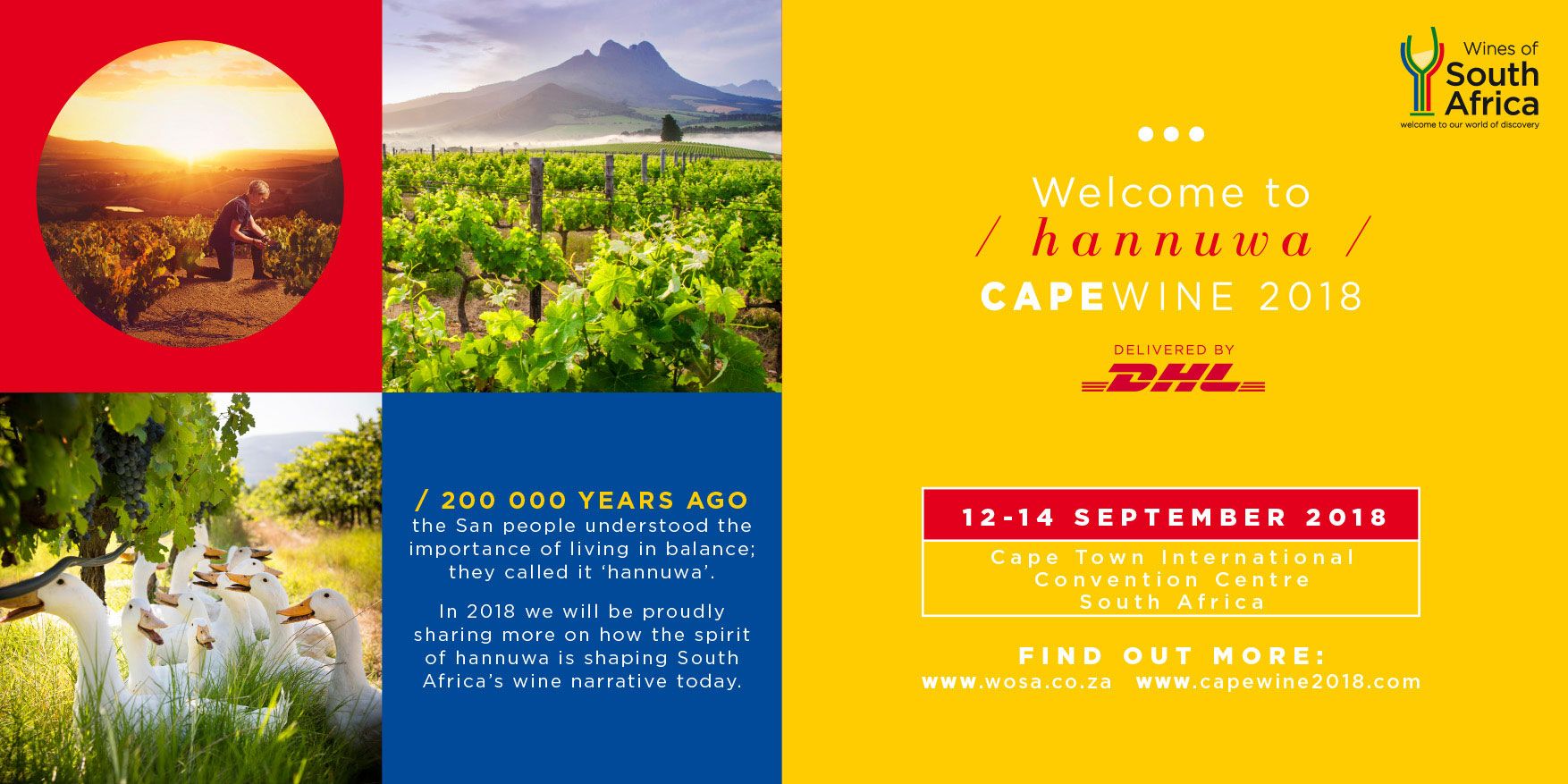 Cape Wine 2018