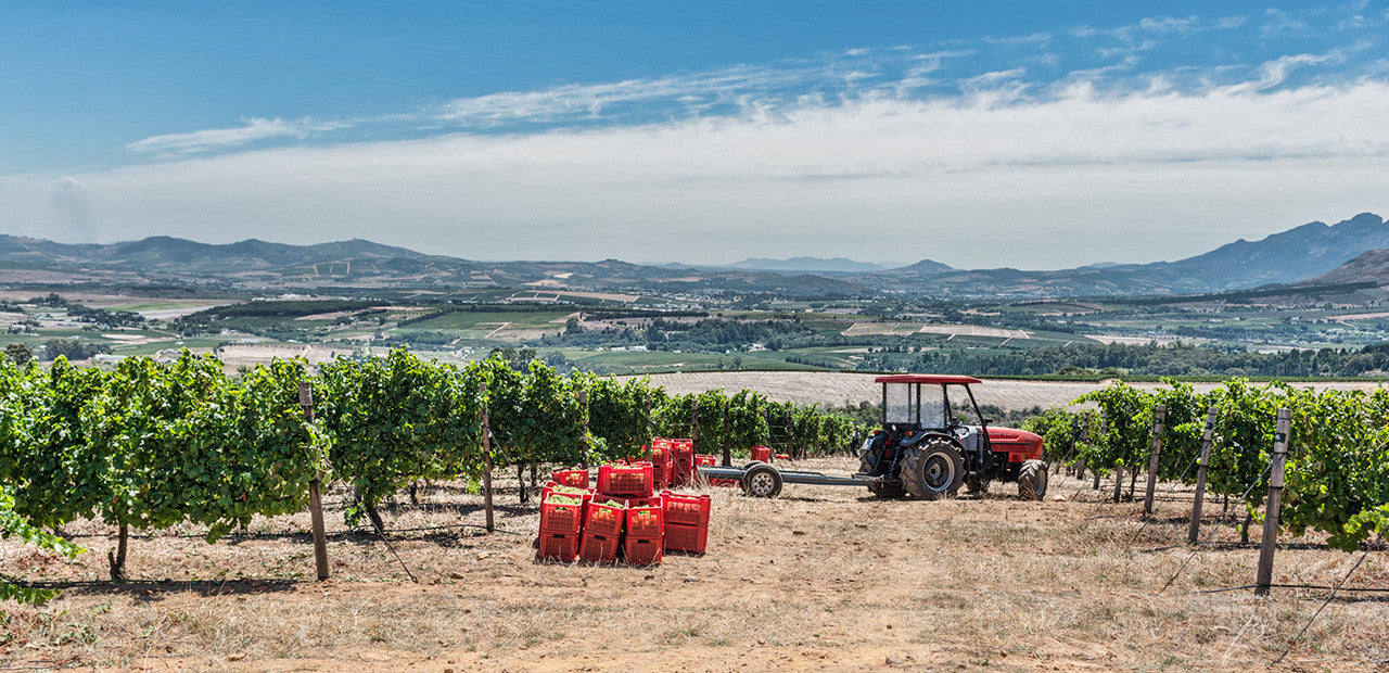 2016 Harvest in Full Swing!