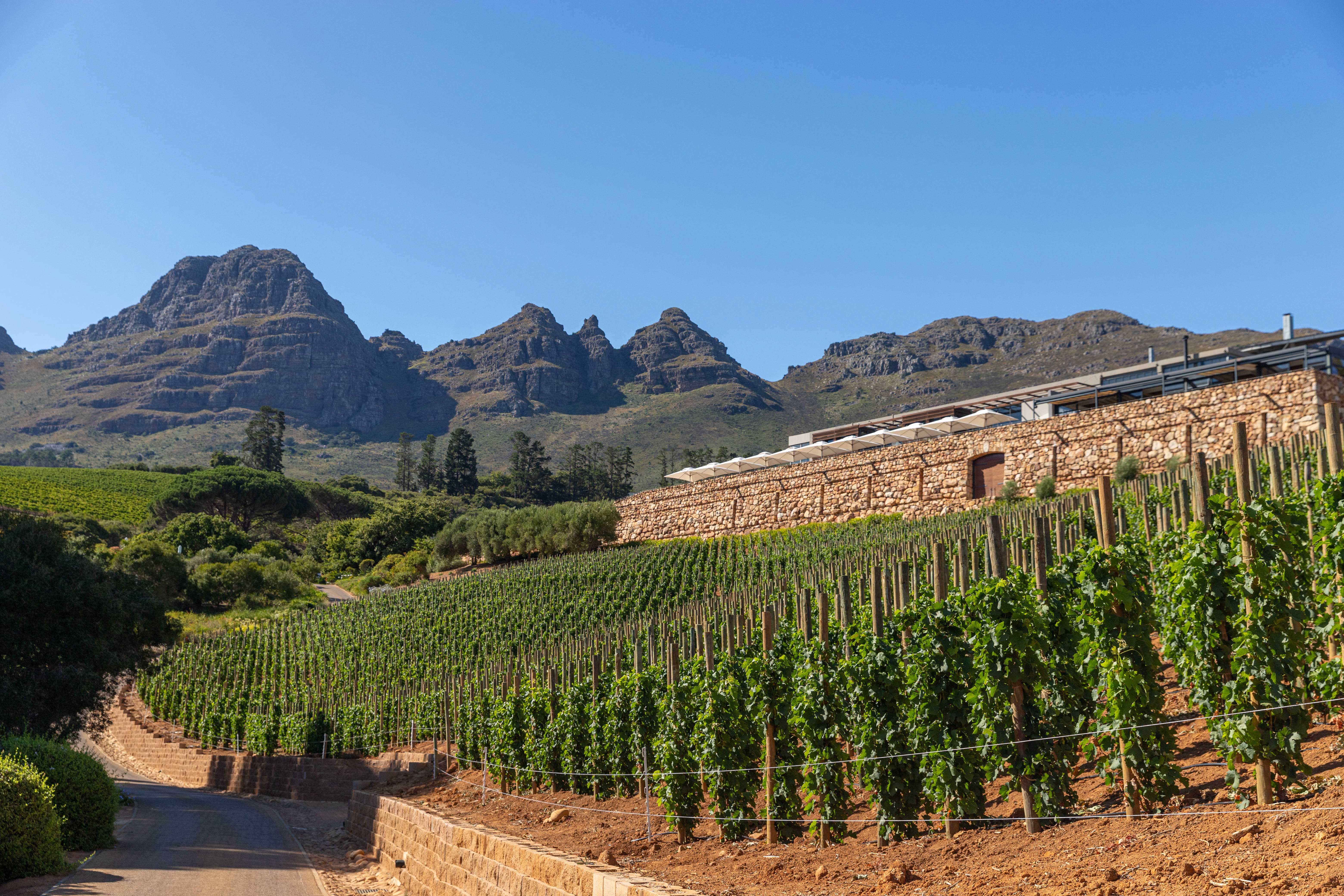 Natural Beauty Meets Modern Design At Hidden Valley Wines