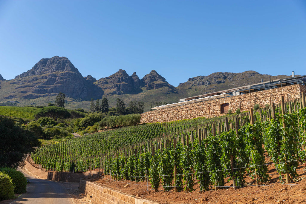 Natural Beauty Meets Modern Design At Hidden Valley Wines
