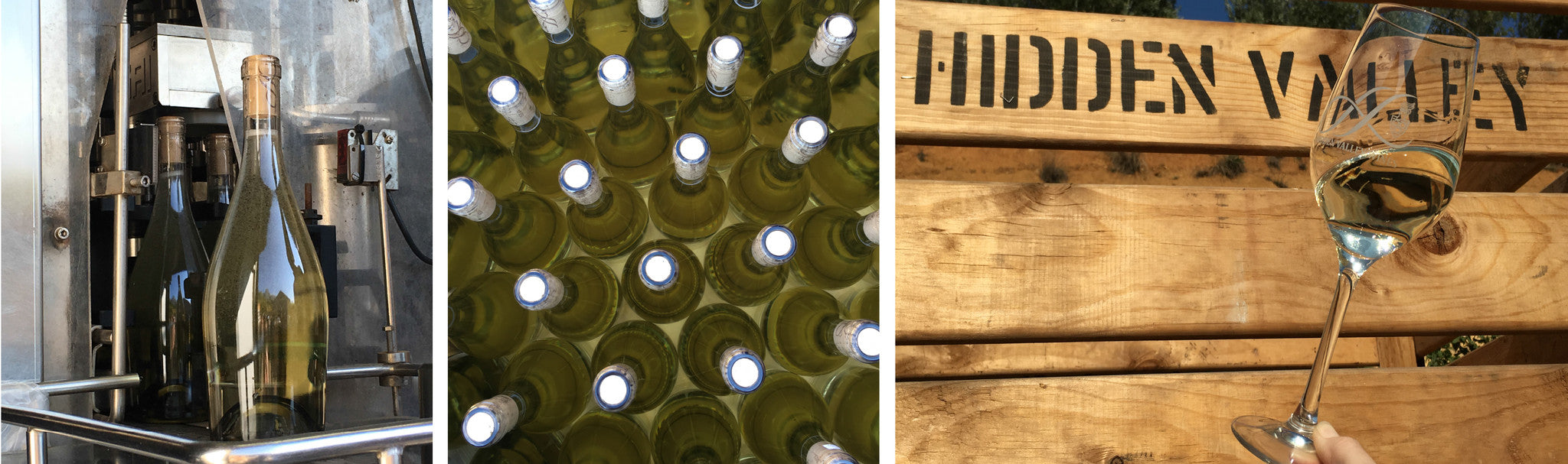 Sauvignon Blanc 2016 Bottling in Pictures