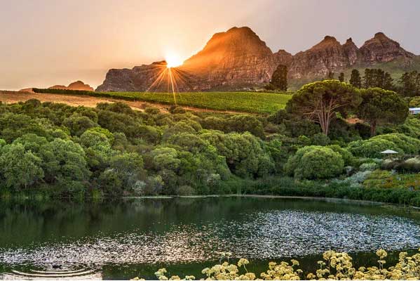 Your Guide to Hidden Valley Red Wines for Winter Evenings